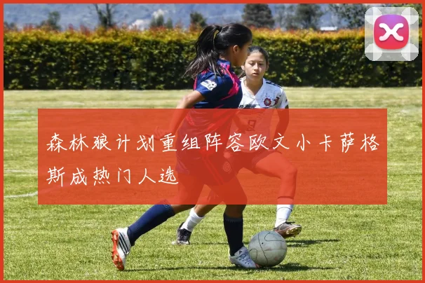 森林狼计划重组阵容欧文小卡萨格斯成热门人选