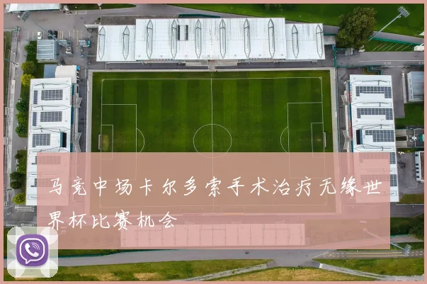 马竞中场卡尔多索手术治疗无缘世界杯比赛机会