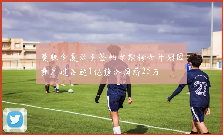 曼联今夏放弃签帕尔默转会计划因费用过高达1亿镑加周薪25万